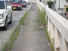 桜町跨線橋