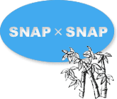 SNAP x SNAP