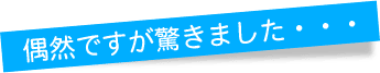 ６月議会一般質問